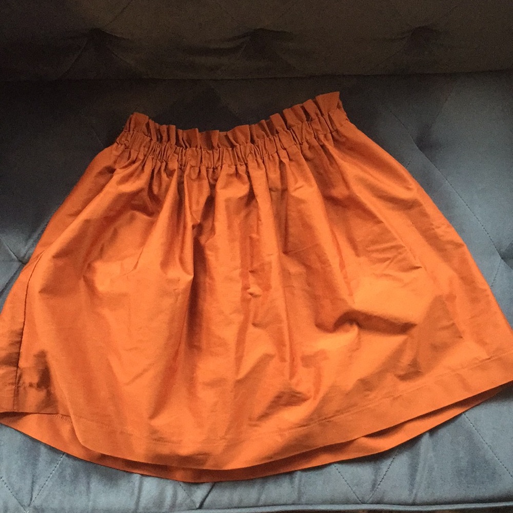 Zara copper skirt